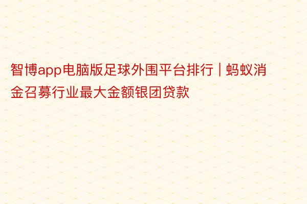 智博app电脑版足球外围平台排行 | 蚂蚁消金召募行业最大金额银团贷款