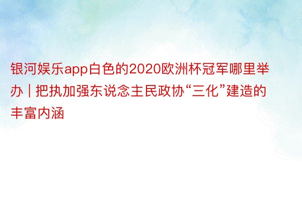 银河娱乐app白色的2020欧洲杯冠军哪里举办 | 把执加强东说念主民政协“三化”建造的丰富内涵