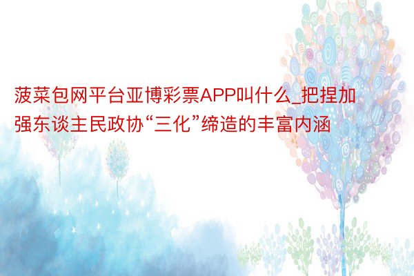 菠菜包网平台亚博彩票APP叫什么_把捏加强东谈主民政协“三化”缔造的丰富内涵