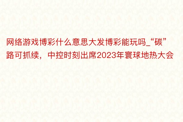 网络游戏博彩什么意思大发博彩能玩吗_“碳”路可抓续，中控时刻出席2023年寰球地热大会